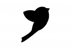 Bird icon Free Vector | Vector free files