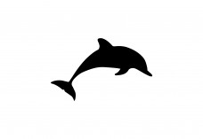 Dolphin Icon Free Vector | Vector free files