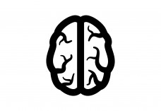 Brain Icon Free Vector | Vector free files