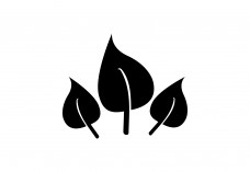 Leaf icon Free Vector | Vector free files