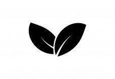 Leaf icon Free Vector | Vector free files