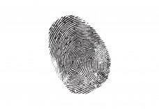Fingerprint Free Vector | Vector free files