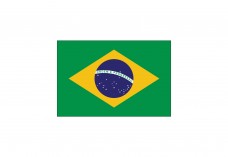 Flag of Brazil Free Vector | Vector free files
