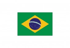Flag of Brazil Free Vector | Vector free files