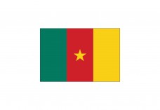 Flag of Cameroon Free Vector | Vector free files