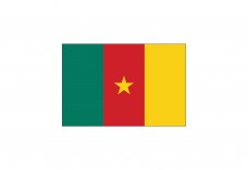 Flag of Cameroon Free Vector | Vector free files