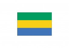 Flag of Gabon Free Vector | Vector free files