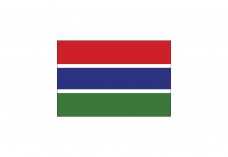Flag of Gambia Free Vector | Vector free files