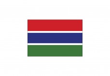 Flag of Gambia Free Vector | Vector free files