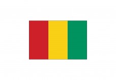 Flag of Guinea-Bissau Free Vector | Vector free files