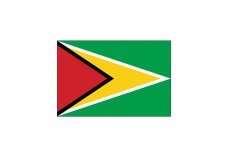 Flag of Guyana Free Vector | Vector free files