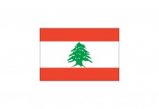 Flag of Lebanon Free Vector | Vector free files