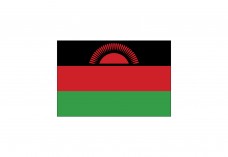 Flag of Malawi Free Vector | Vector free files