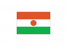 Flag of Niger Free Vector | Vector free files