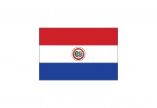Flag of Paraguay Free Vector | Vector free files