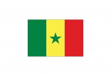 Flag of Senegal Free Vector | Vector free files