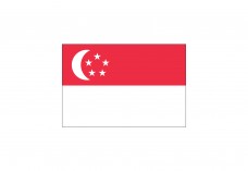 Flag of Singapore Free Vector | Vector free files