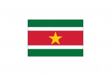 Flag of Suriname Free Vector | Vector free files
