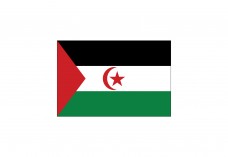 Flag of Western Sahara Free Vector | Vector free files