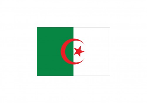 Flag of Mauritania Free Vector | Vector free files